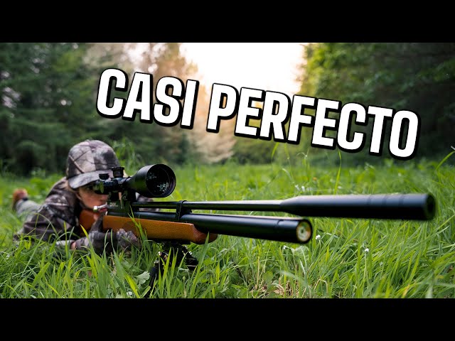 The BEST PCP Air Rifle Quality Price