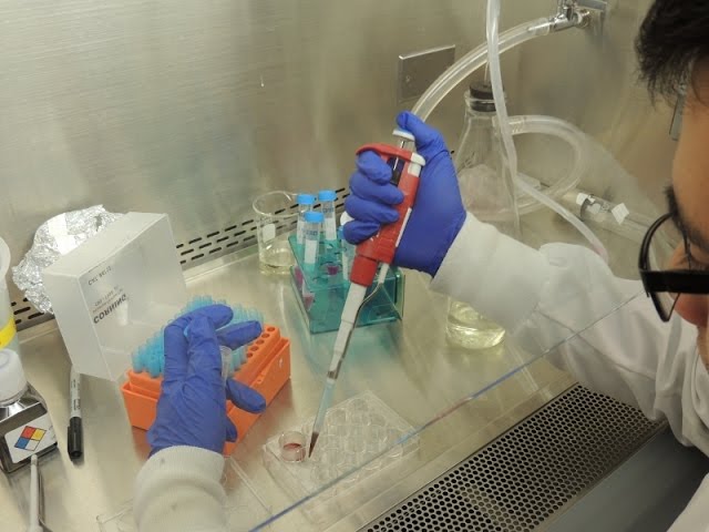 An Exploration of Biomedical Engineering