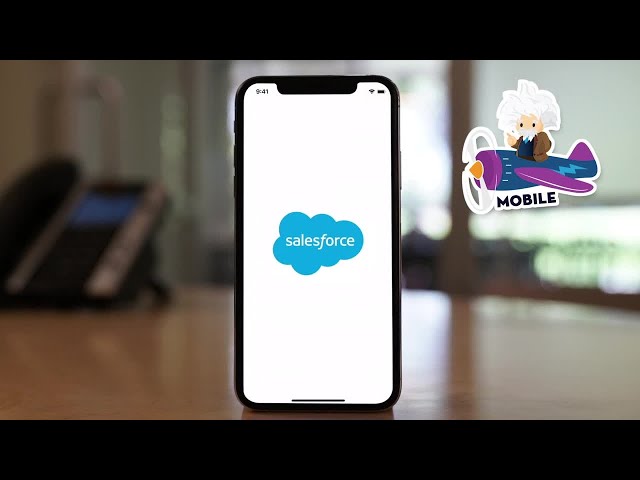 Salesforce Mobile App Demo