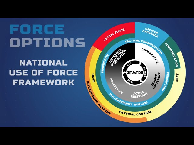 The Odd Squad Beat: Understanding Police Use of Force – NUFF Overview