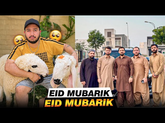 Finally Sheepos Ko Qurban Kar Dya🥺  Eid Mubarak Everyone😍