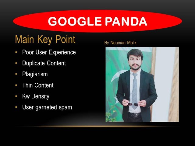 Google panda | Rules of Google algorithm |