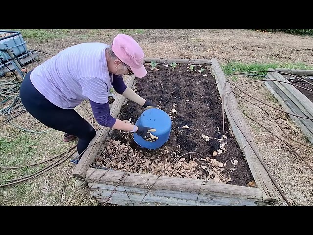 DIY compost Part 1