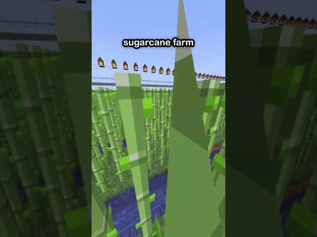 The BEST Automatic Farms In Minecraft!