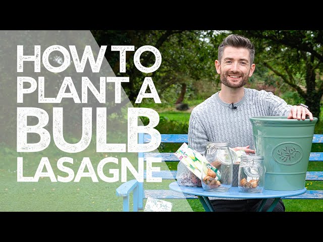 How to Plant a Bulb Lasagne | SUPER EASY Autumn Bulbs!