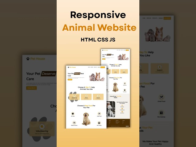 Design Animal website | HTML CSS & JavaScript #html #css #coding #javascript