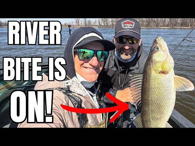 We Caught MULTIPLE Species in One Day On The Mississippi! (New to River Fishing!)