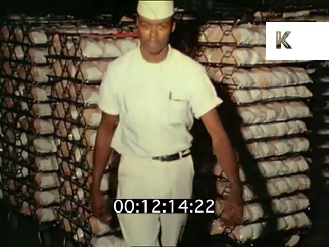 1970 USA, Chicken Factory, Food Processing, Factory