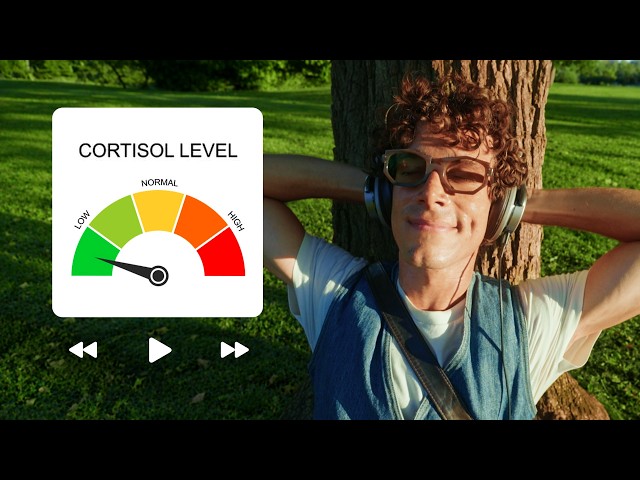 low cortisol playlist | listen with me