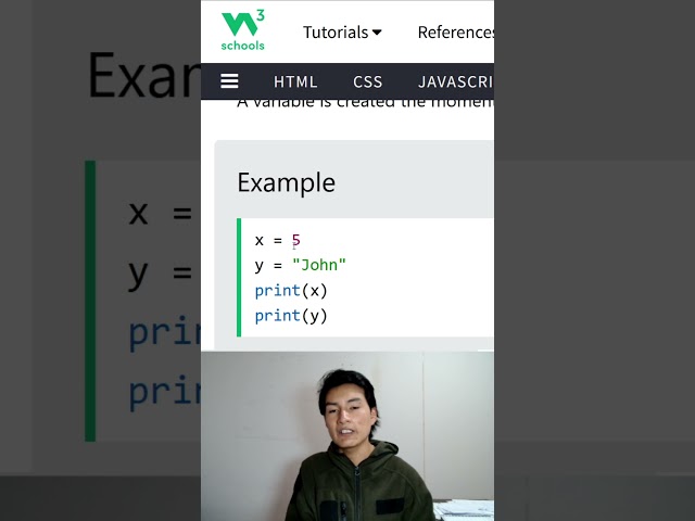 Cómo se DECLARAN las VARIABLES en Python