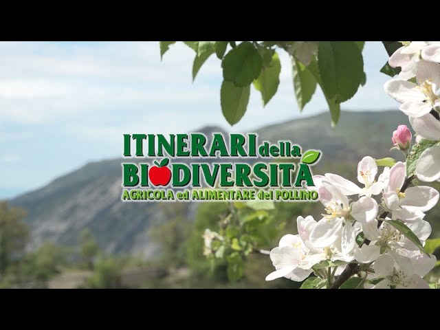Pollino National Park: Pollino Biodiversity Itineraries