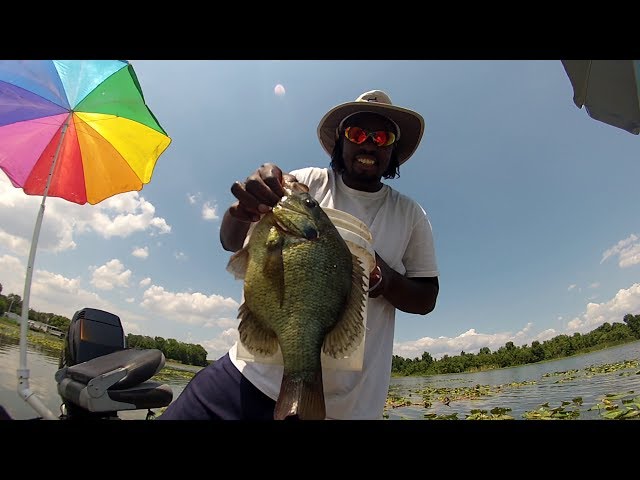 Shellcracker Fishing catching Huge Monster Slabs