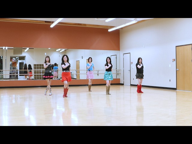Hold Me When I Break - Line Dance (Dance & Teach)