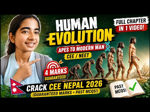 Human Evolution FULL Chapter in 1 Video! 🧬 Apes to Modern Man | CEE  4 Marks Guaranteed! 🎯