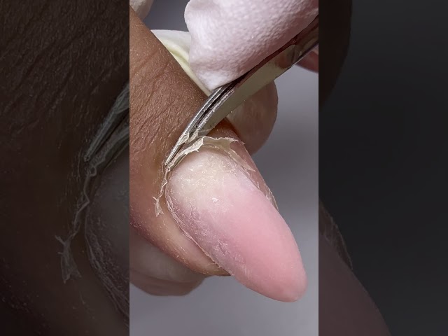 Scissors Only — No Nippers, No E-file ASMR