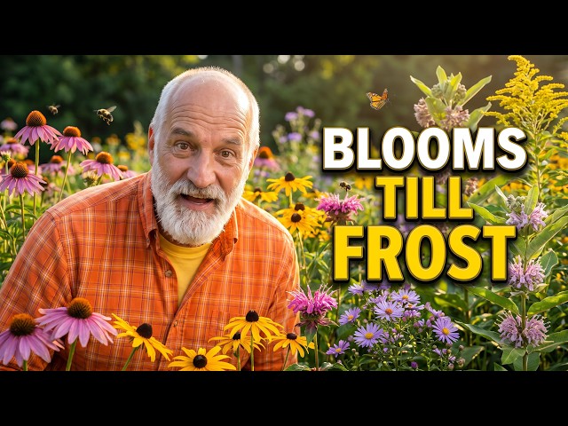9 Native Plants That Bloom From Spring Until Frost