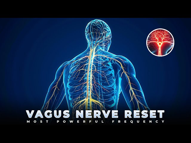 Reset Vagus Nerve & Cortisol Detox Healing Frequency | Reduce Cortisol & Anxiety Sleep Music