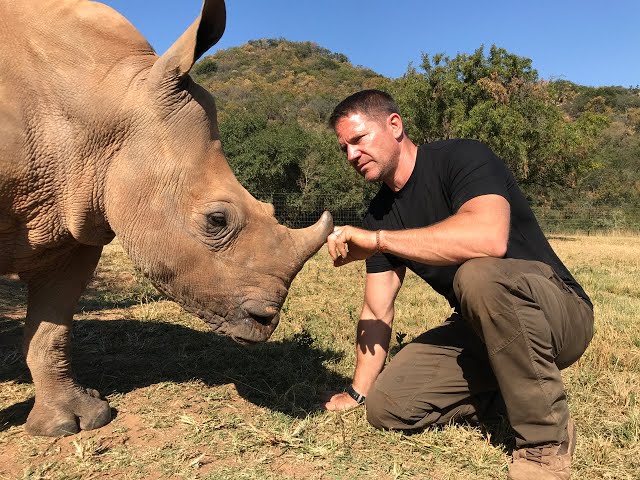 White rhino conservation