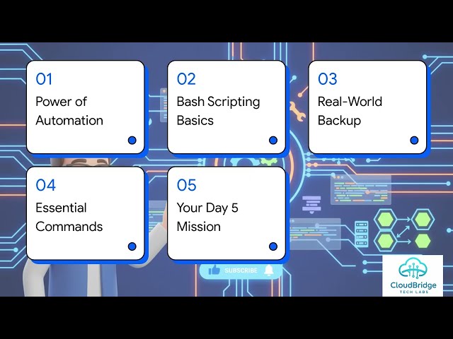 Mastering Bash Scripting for Beginners | DevOps Linux Automation