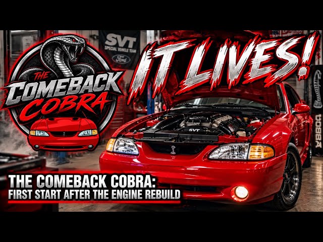 IT LIVES! – The Comeback Cobra: First Start After the Engine Rebuild