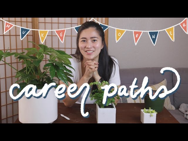 The Career Paths in Software Engineering