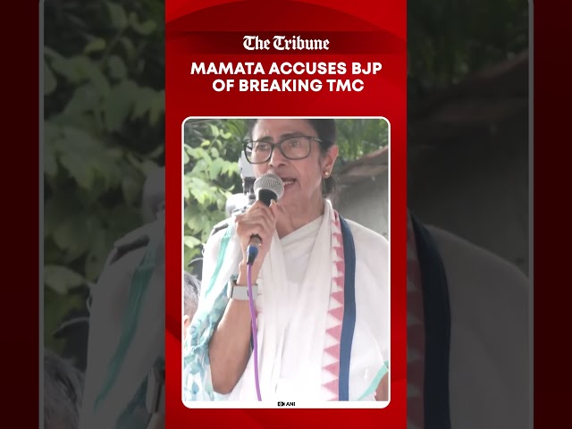 Mamata Banerjee Alleges BJP Trying To Break TMC During Protest In Kolkata