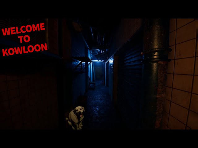 The MYSTERIOUS Residents of this DENSE City are Not so Friendly..