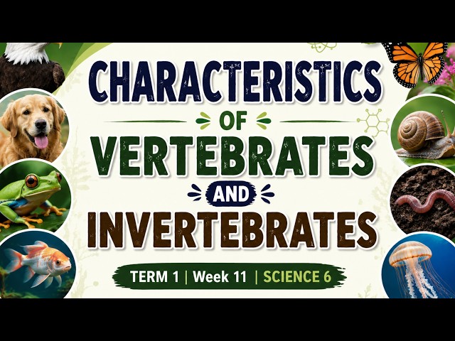Term 1 | Week 11 | Science 6 - Vertebrates and  Invertebrates