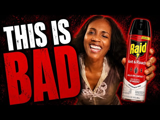 La situación del insecticida de Claressa Shields empeoró un 1000%
