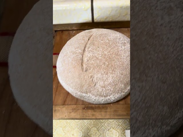 Simple sourdough cut using a lame