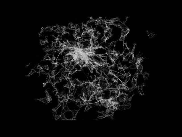 Nodes