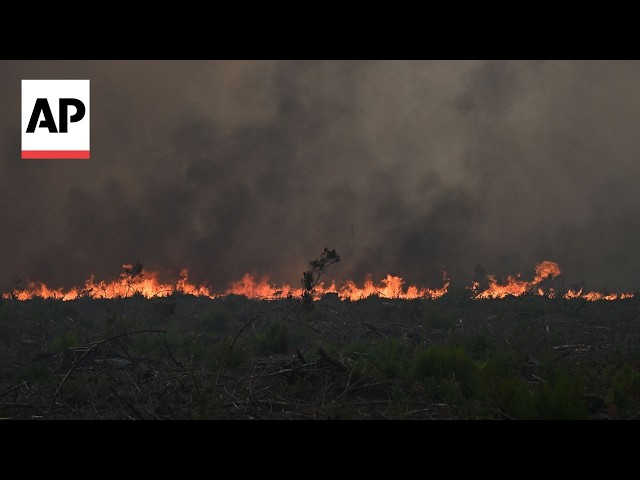 Firefighters tackle wildfires burning in Gironde region of France