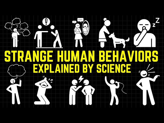 30 Strange Human Behaviors Explained By Science | Psychology To Fall Asleep To