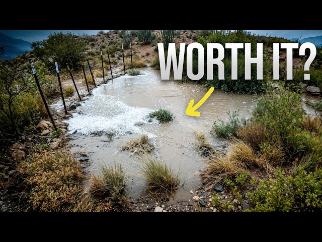I Built Desert Beaver Dams 5× Faster. Are They Worth It?