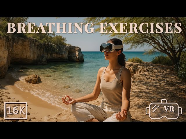 Anxiety Relief in VR 360° | 16K Guided Meditation & Breathwork on a Hidden Cove