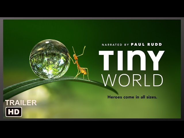 Tiny World/Official Trailer