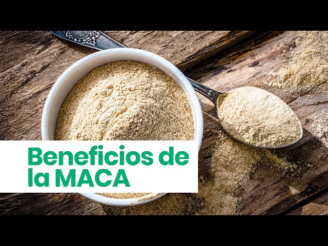 ¿Conoces la MACA y sus beneficios para la SALUD? 💛