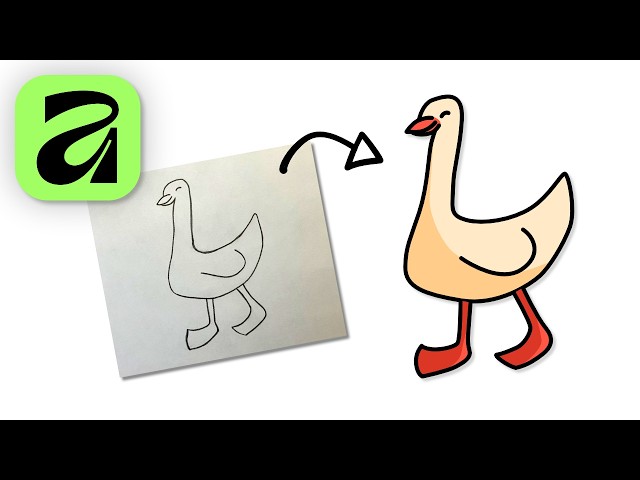 How to Turn a Sketch into a Vector in Affinity