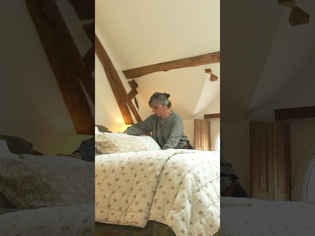 EXTREME French countryside primary bedroom makeover - #Shorts