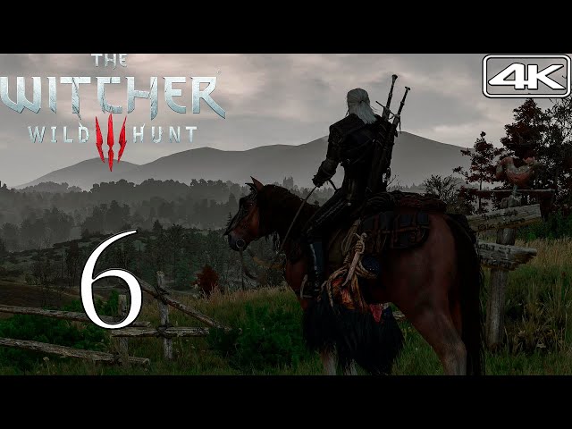 The Witcher 3 [4K] Modded Walkthrough Part 6 | Nilfgaardian Connection (Deathmarch)