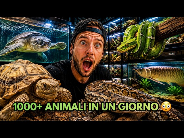 Dentro un negozio pieno di RETTILI RARISSIMI 😱 [PARTE 2]