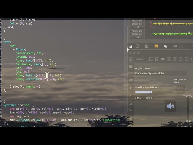 Ponderosa (Live Coding Session)