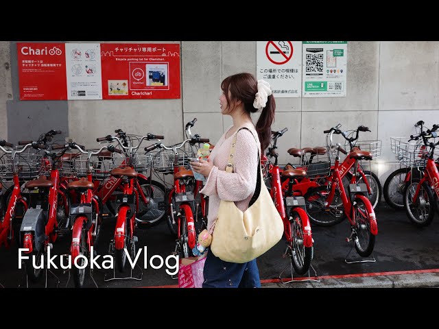 ✈️몬치치 토벌하러 떠난 후쿠오카vlog 🎏하코자키궁 호조야축제🌳유후인 버스 당일치기👘유카타 ,치이카와🐻‍❄️🐰🐱