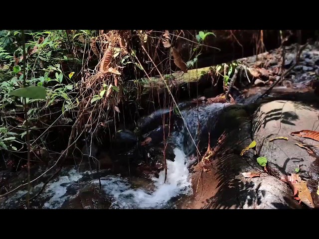 Relaxing Music, Sleep Music, Water Sounds, Meditation Music, Soothing Piano for Inner Calm