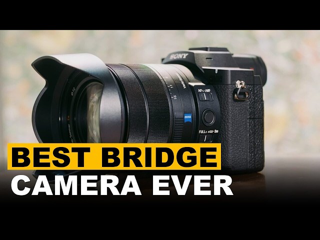 Sony RX10 V Shatters Bridge Camera Standards With Exemplary Performance