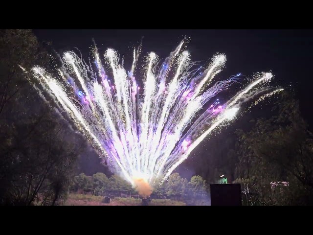 2024 DISPLAY CAKE NO.2