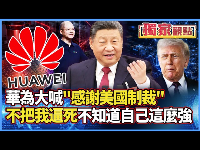 殺不死我的必然使我更強大？華為反喊「感謝美國制裁」！黃仁勳也認了：真的很厲害 但還威脅不了台積電！｜#獨家觀點 #寰宇全視界 @globalvisiontalk