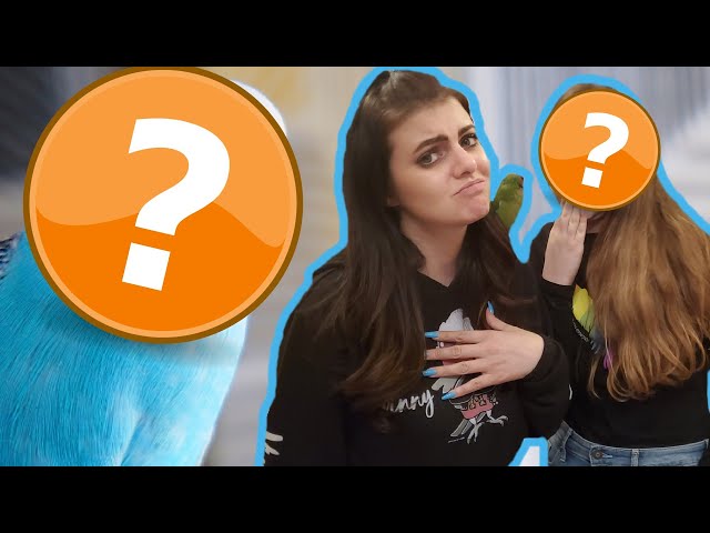 I'M REHOMING MY PARROT | SAYING GOODBYE TO MY BIRD