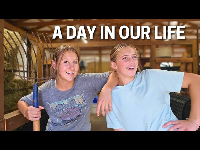 Productive Summer Day on the Farmily DAIRY FARM...
