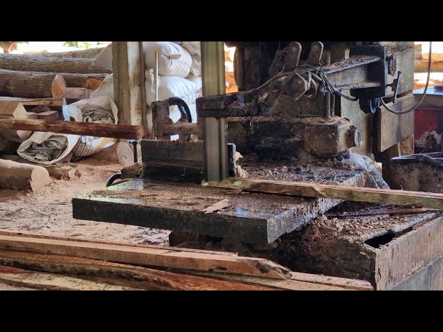 Precision Timber Cutting: Extreme Sawmill Machine Processing Technique